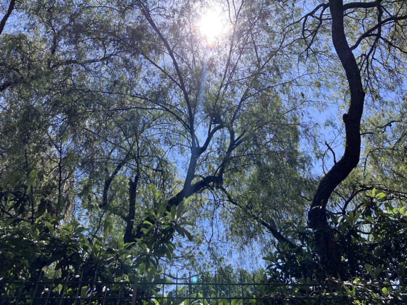 casa en venta en lomas de chapultepec