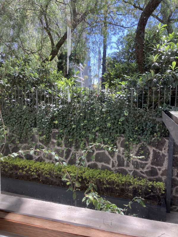 casa en venta en lomas de chapultepec
