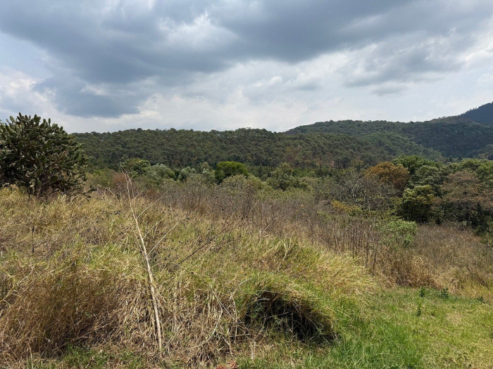 lote iii en la paloma