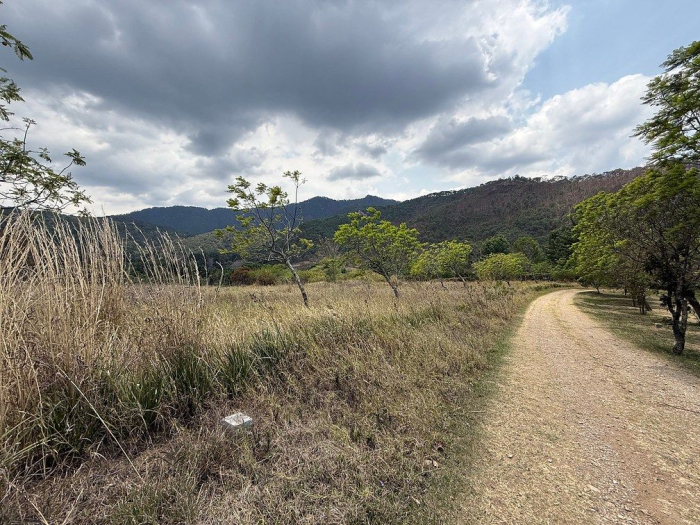 lote iii en la paloma