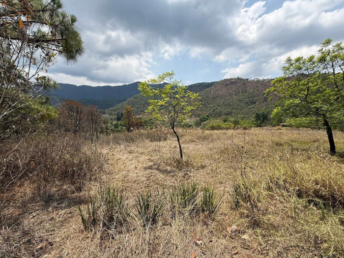 lote iii en la paloma