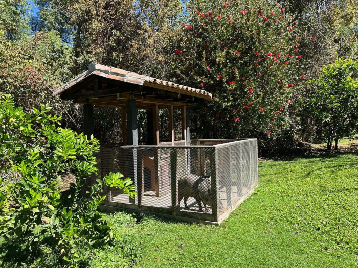 lote iii en la paloma