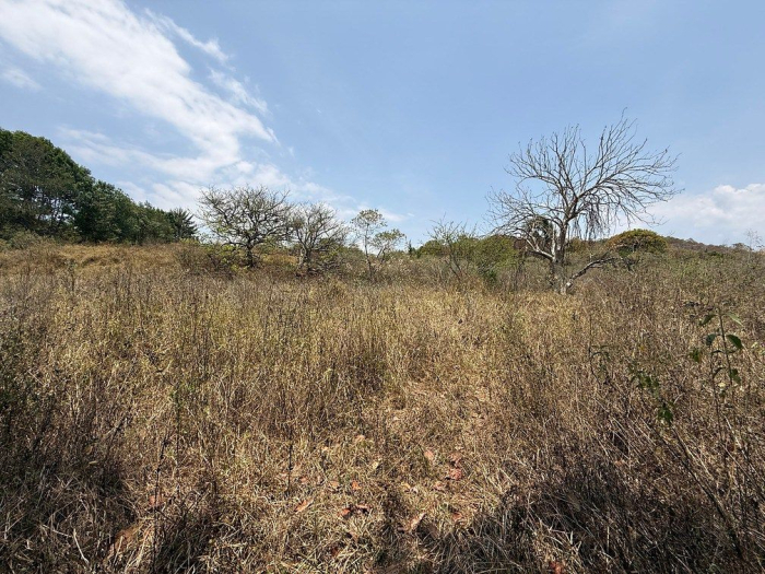 lote iii en la paloma