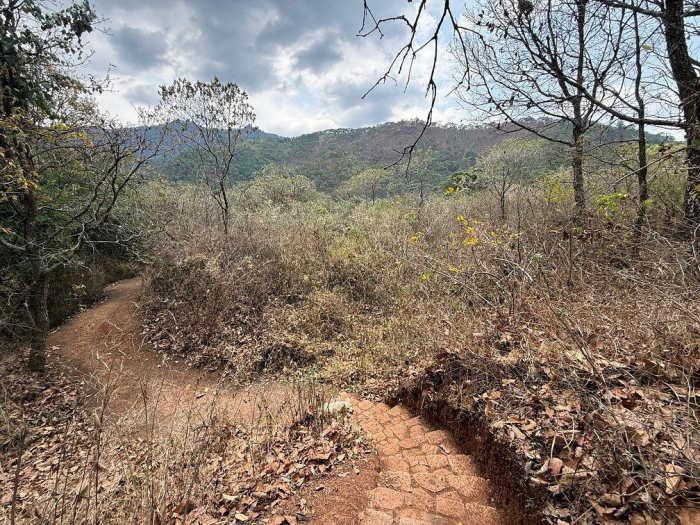 lote iii en la paloma