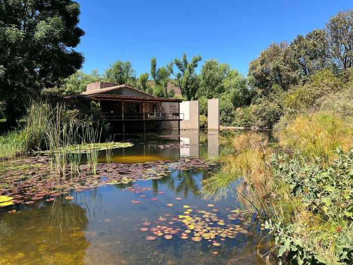 lote iii en la paloma