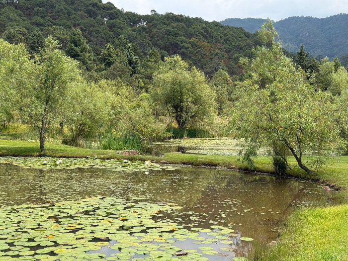 lote iii en la paloma