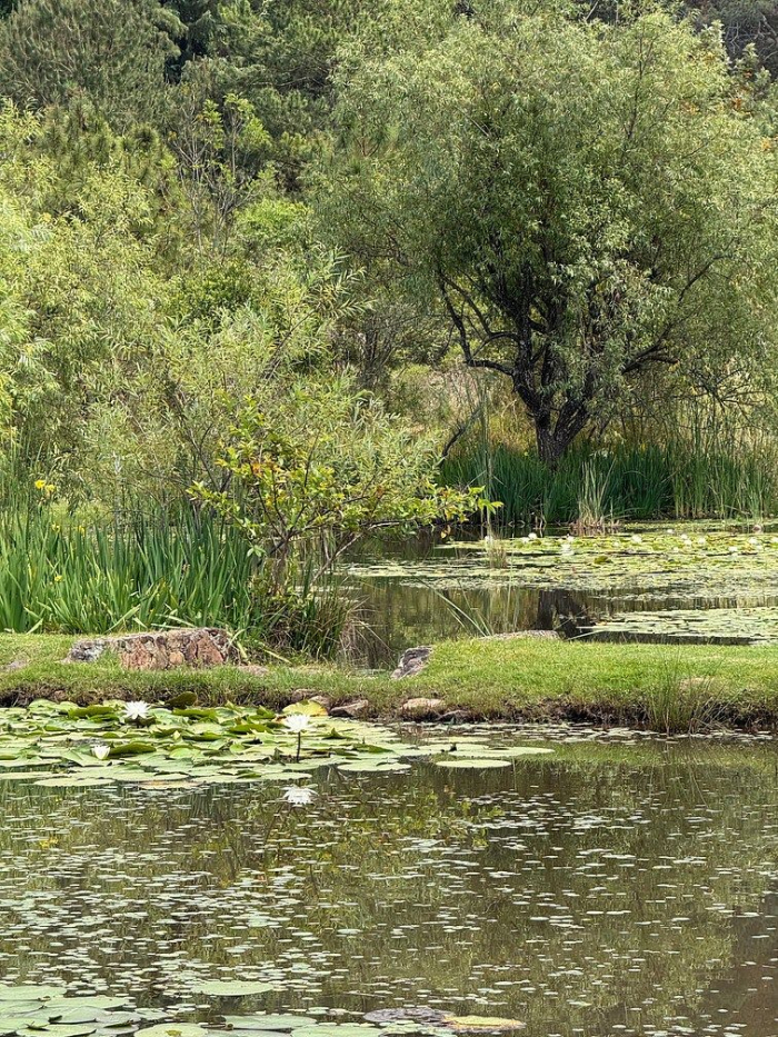 lote iii en la paloma