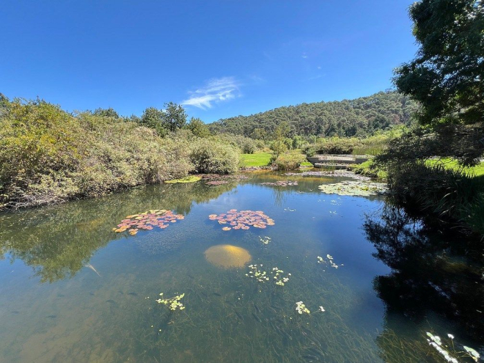 lote iii en la paloma
