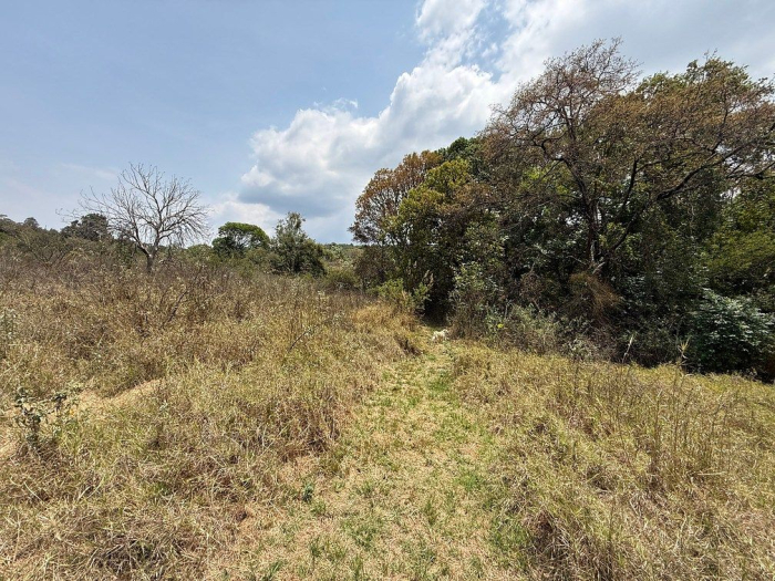 lote iii en la paloma
