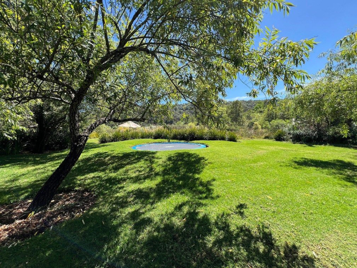 lote iii en la paloma