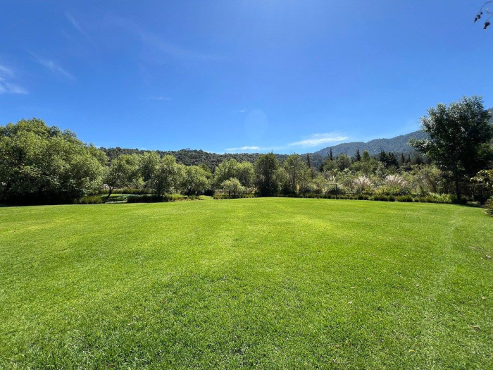 lote iii en la paloma