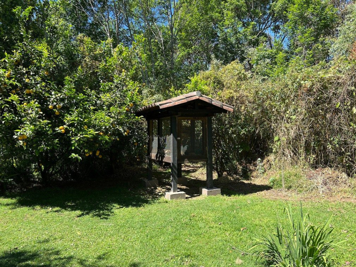 lote iii en la paloma