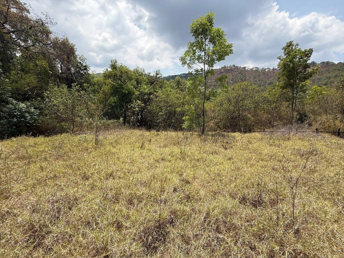 lote iii en la paloma