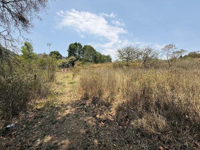 lote iii en la paloma