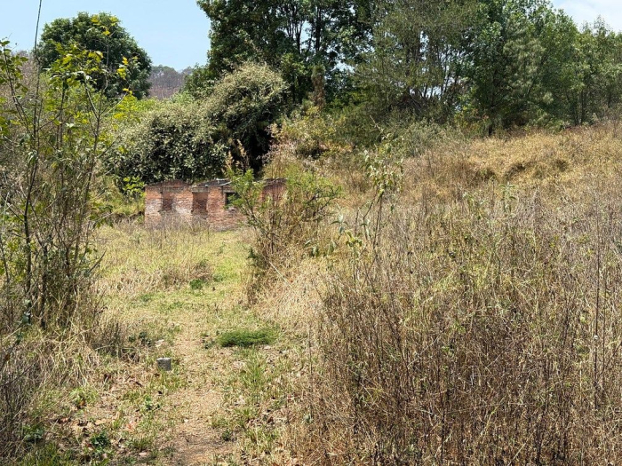lote iii en la paloma