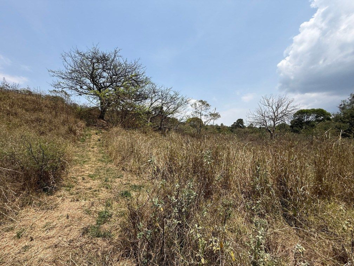 lote iii en la paloma