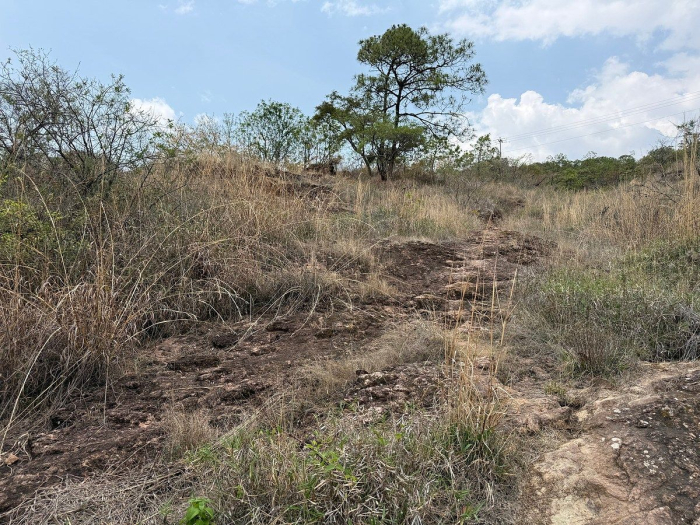 Lote IX la Paloma