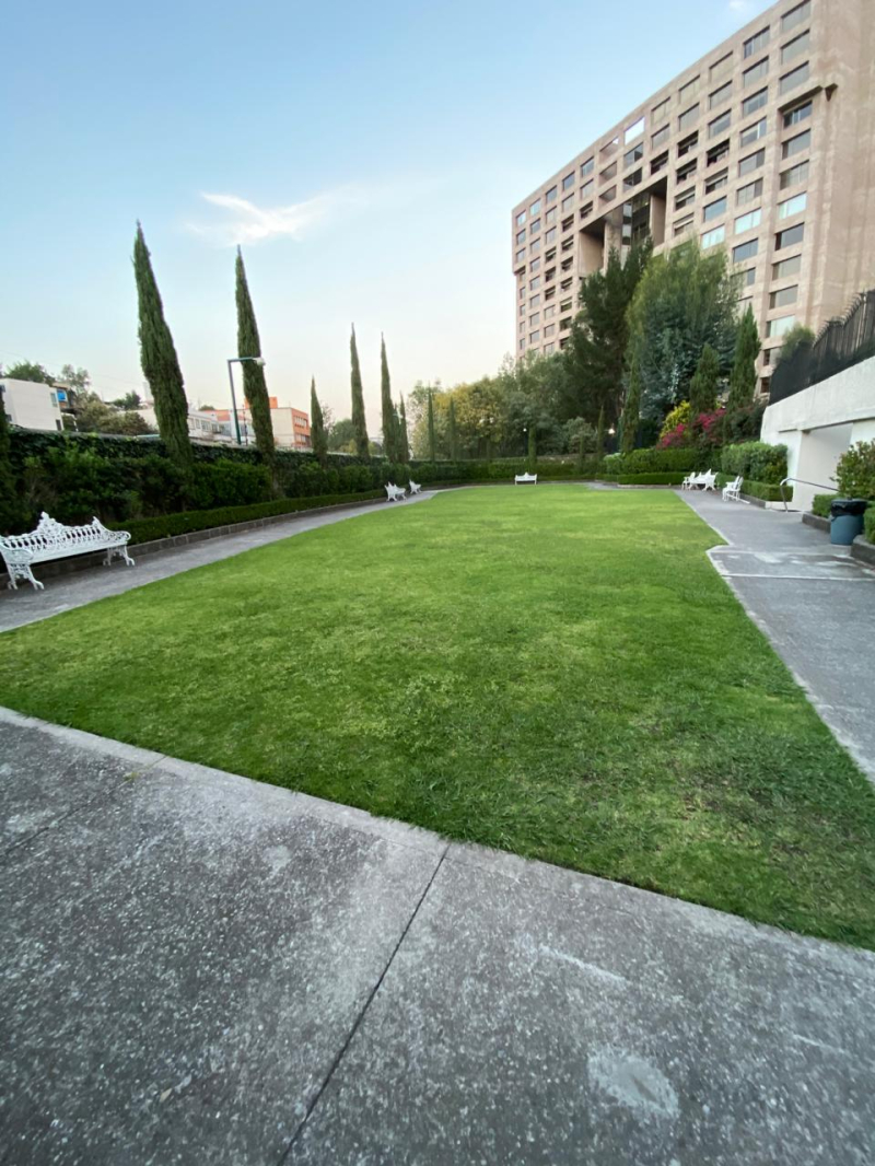 departamento en venta en lomas de chapultepec