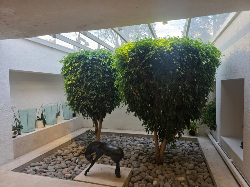 departamento en venta en lomas de chapultepec