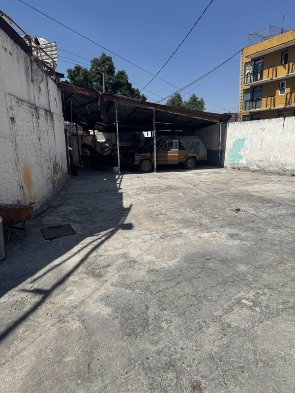 terreno  en  renta alvaro  obrego