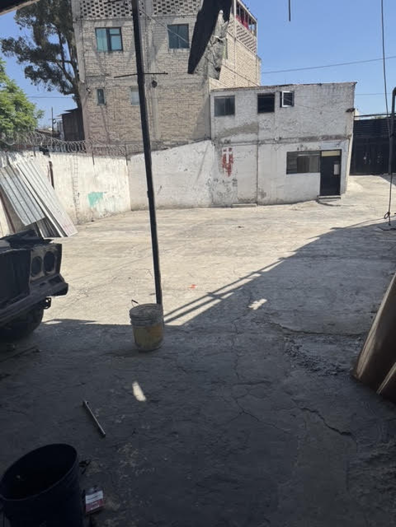 terreno  en  renta alvaro  obrego