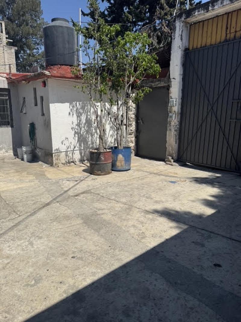Terreno  En  Renta Alvaro  Obrego