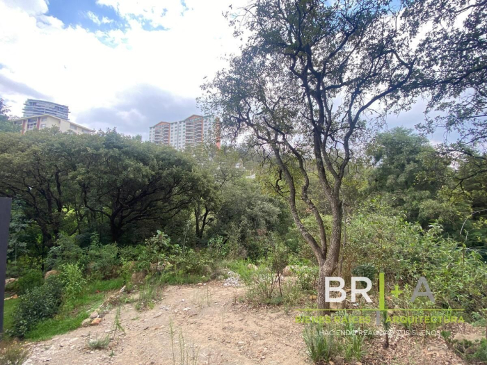 Venta de Terreno en Bosque real,   Isla del lago con vista a campo 18 hoyos