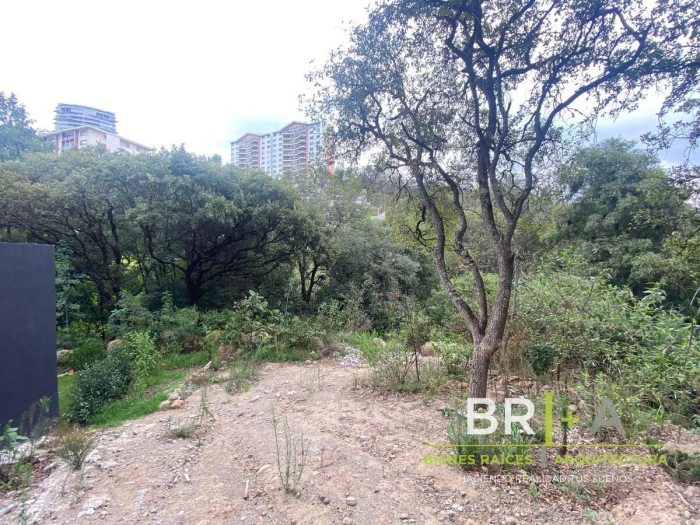 Venta De Terreno En Bosque Real,   Isla Del Lago Con Vista A Campo 18 Hoyos
