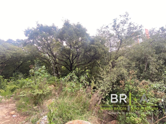 Venta De Terreno En Bosque Real,   Isla Del Lago Con Vista A Campo 18 Hoyos