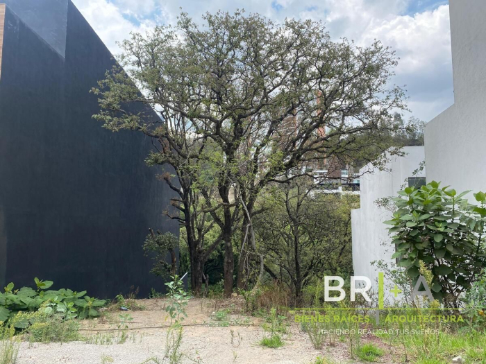 Venta De Terreno En Bosque Real,   Isla Del Lago Con Vista A Campo 18 Hoyos
