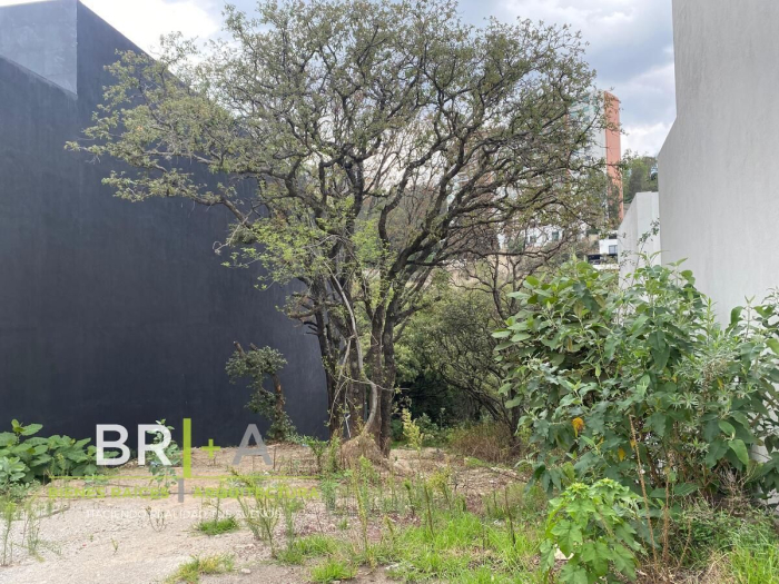 Venta De Terreno En Bosque Real,   Isla Del Lago Con Vista A Campo 18 Hoyos