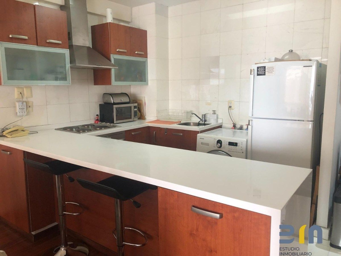 departamento tipo loft en venta en reforma social
