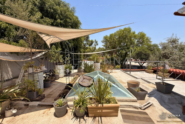 CASA OLIVO EN VENTA