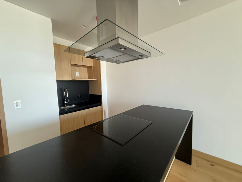 departamento en renta en university tower