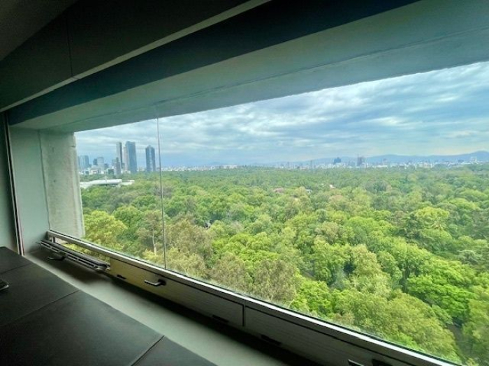 departamento  en venta en polanco v sección