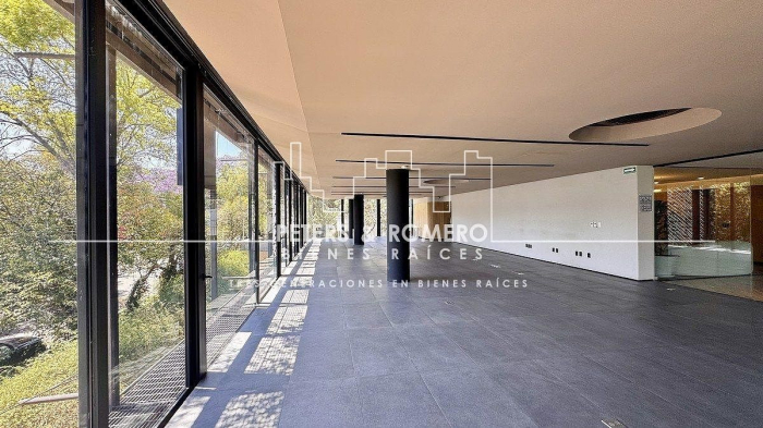 local comercial en renta en lomas de chapultepec