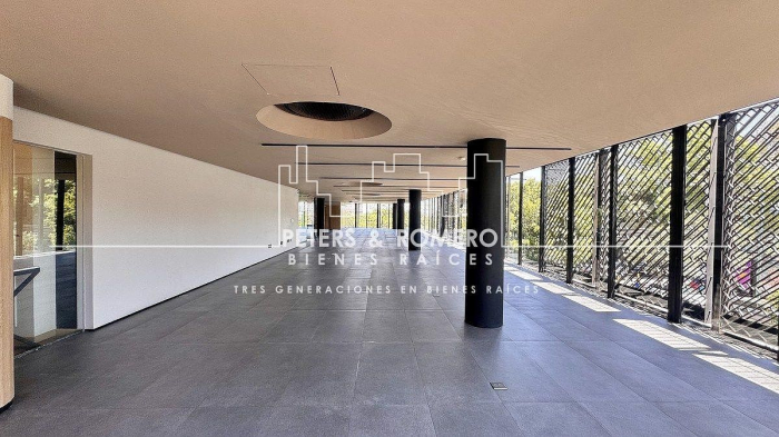 local comercial en renta en lomas de chapultepec