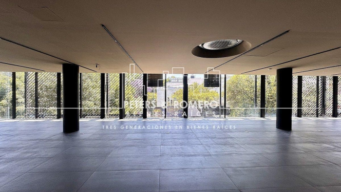 local comercial en renta en lomas de chapultepec