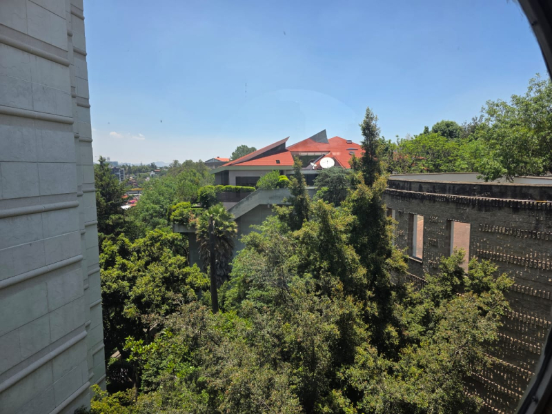 departamento en venta o renta en lomas de chapultepec