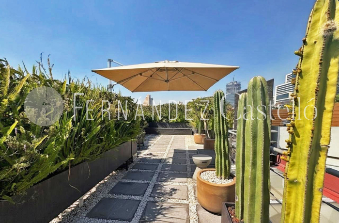 renta de departamento en polanco