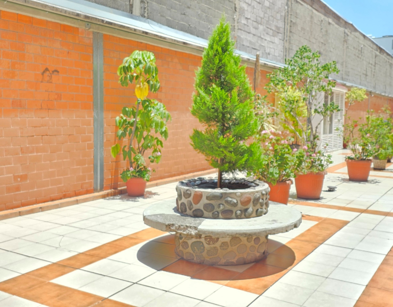 Departamento En Venta En Bondojito