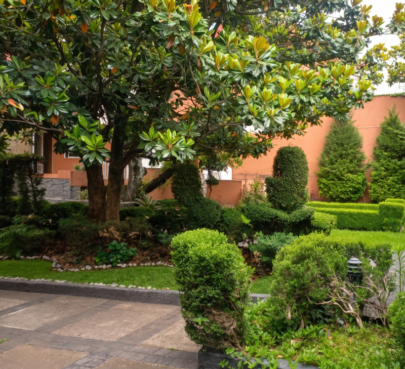 Casa En Venta En Jardines Del Pedregal