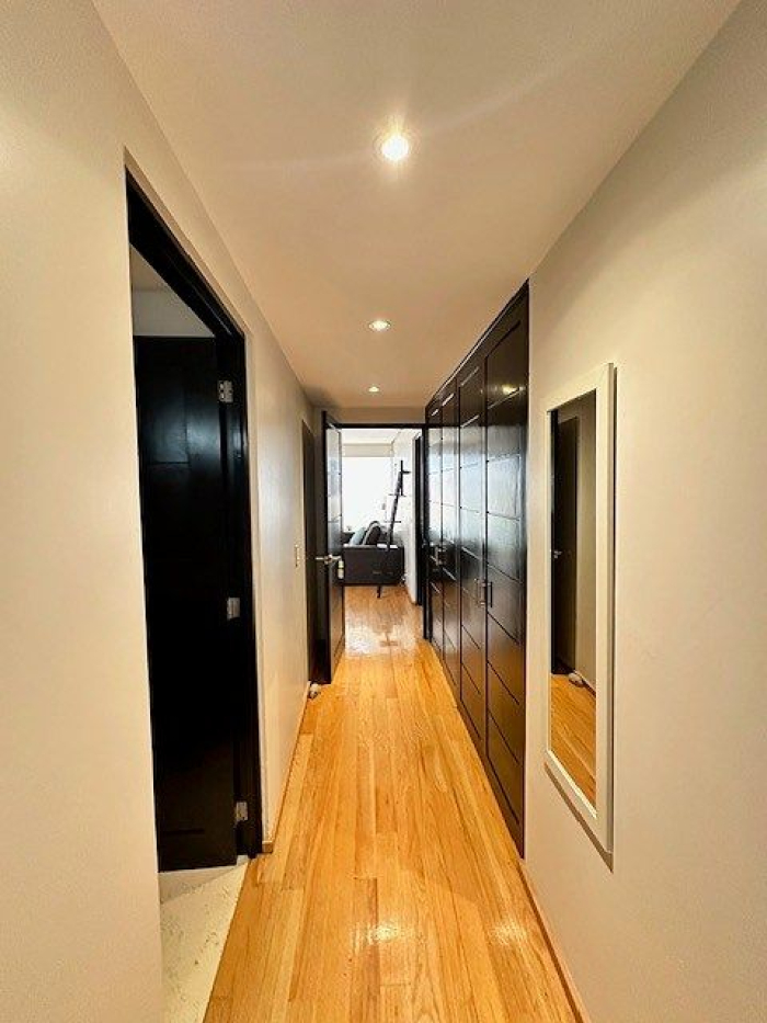Polanco, Lafontaine,  Departamento AMUEBLADO Con Amplia Terraza Propia. Renta $65,000MN
