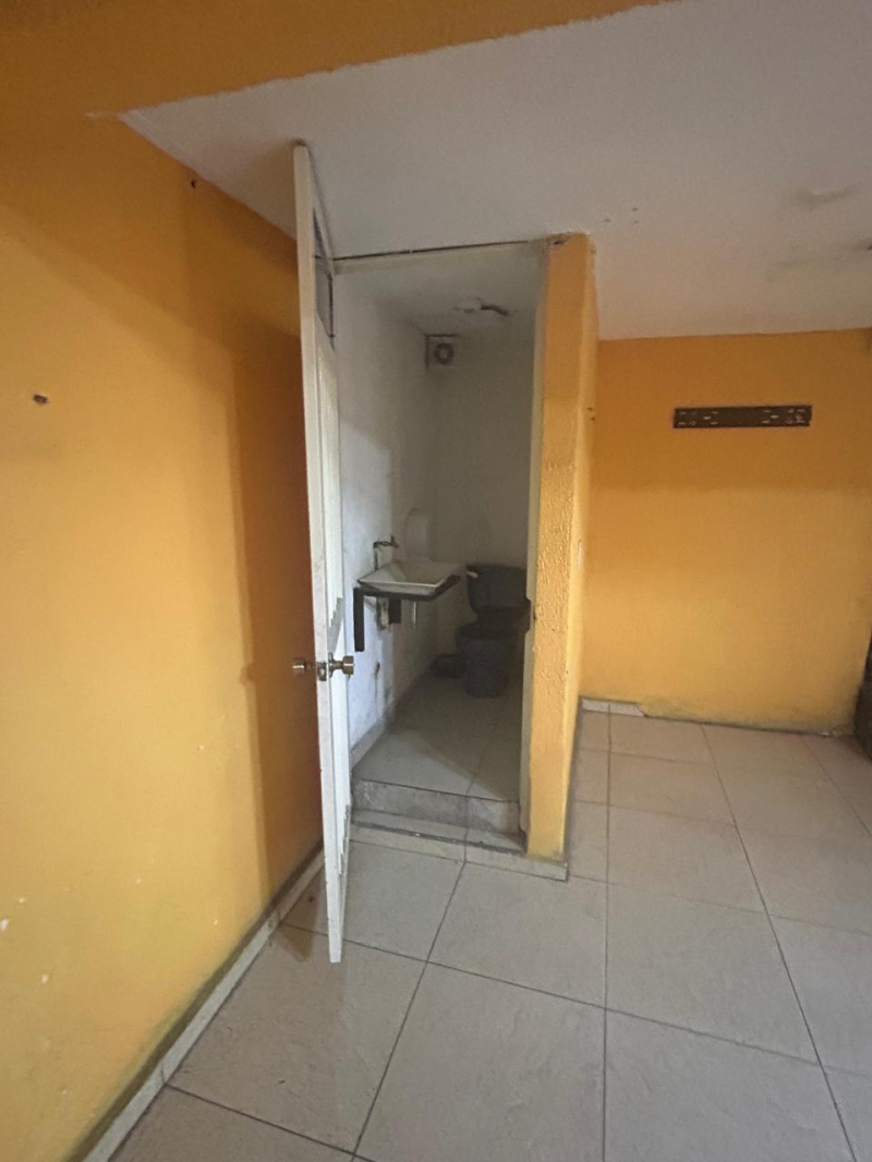 local comercial en renta en viveros de la loma
