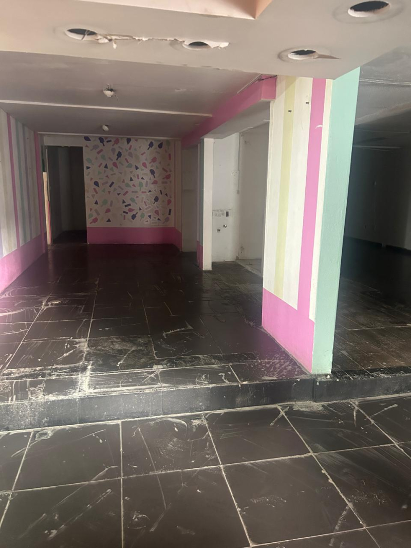 local comercial en renta en viveros de la loma