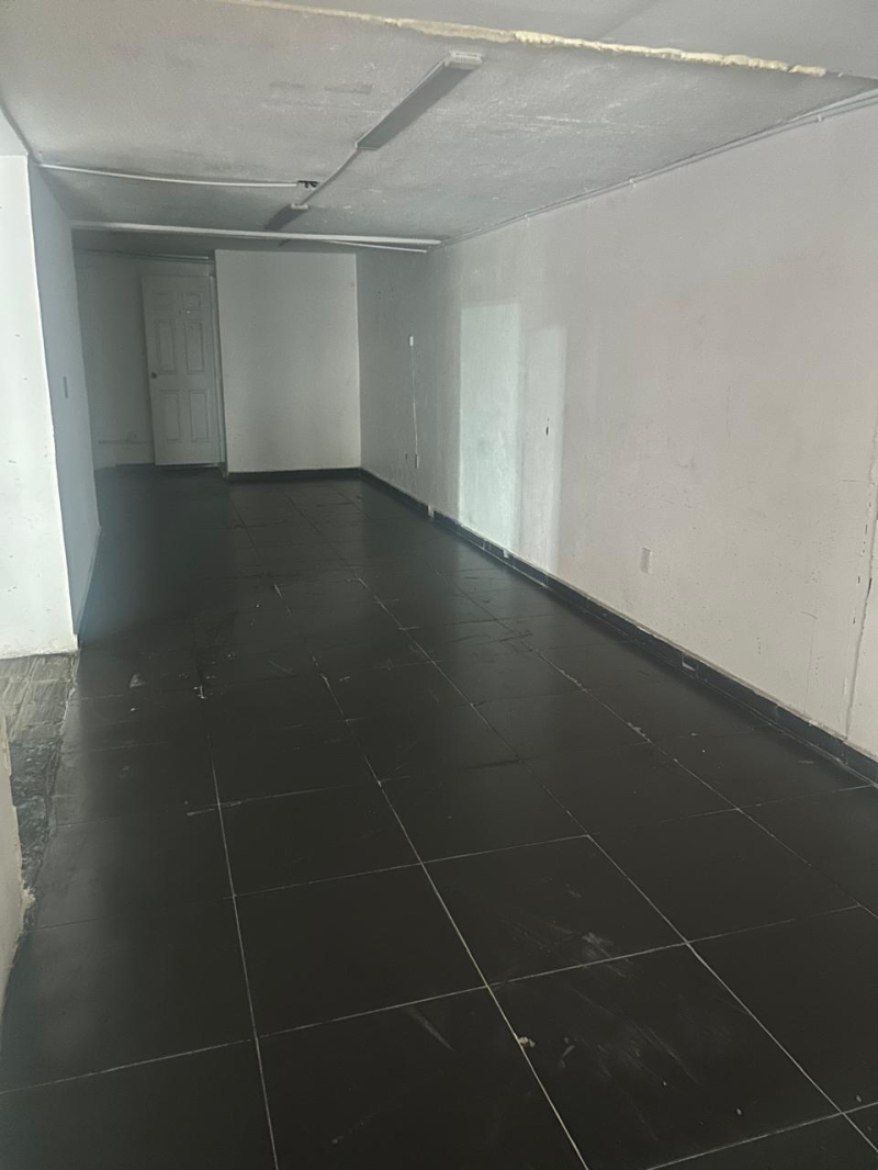 local comercial en renta en viveros de la loma