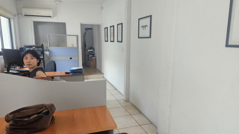 Oficina En Renta En Anzures