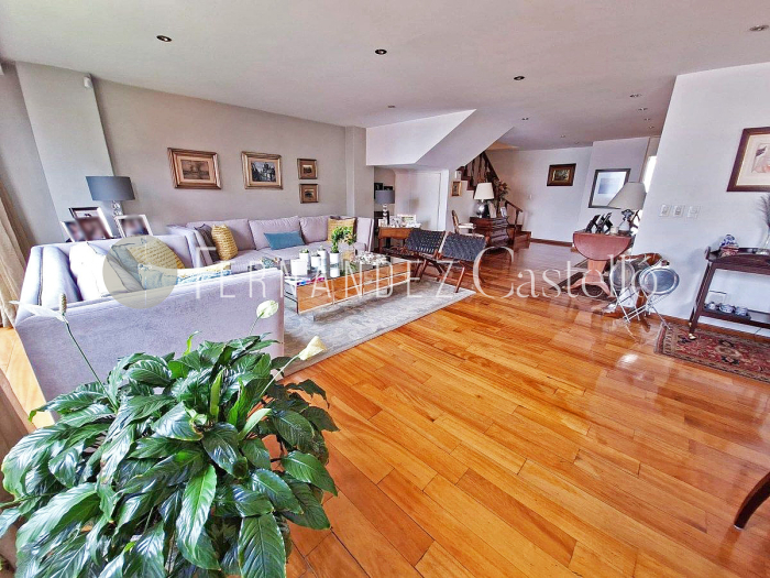 VENTA  DEPARTAMENTO PH POLANCO V SECCION, LOPE DE VEGA