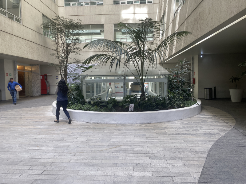 oficina en renta centro de negocios polanco nuevo polanco