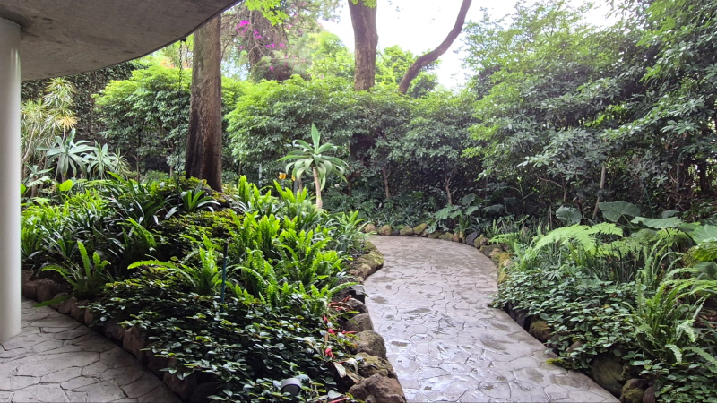 departamento en renta, lomas de chapultepec, sierra vertientes